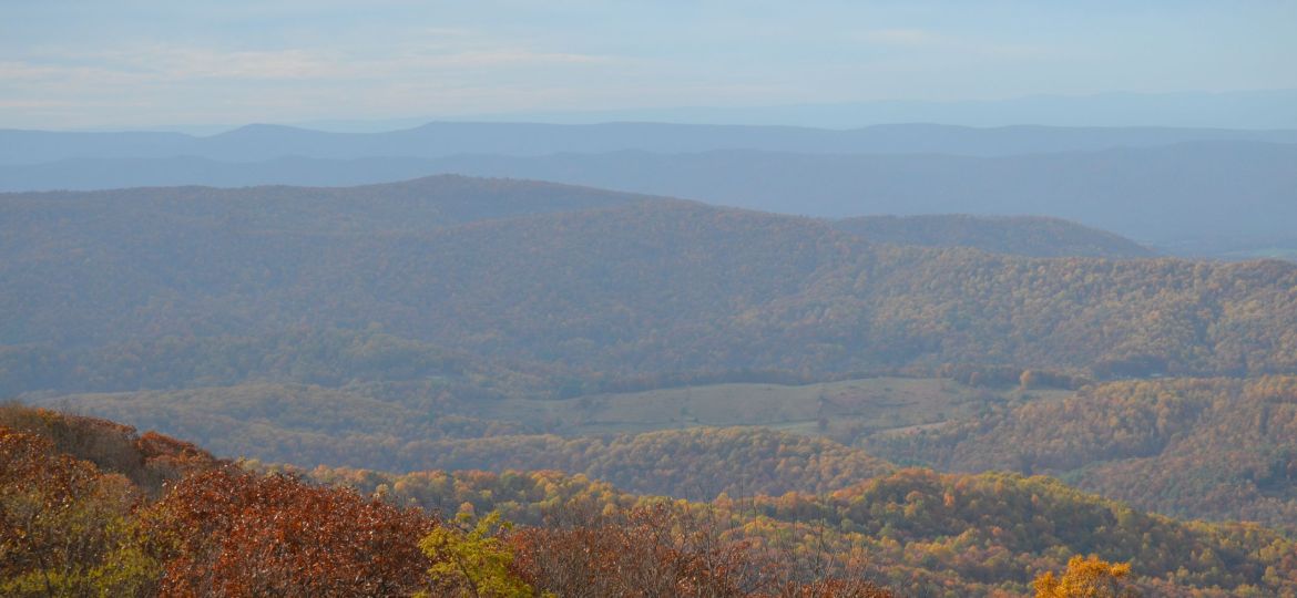 Website-Shannandoa-Limitless-Fav